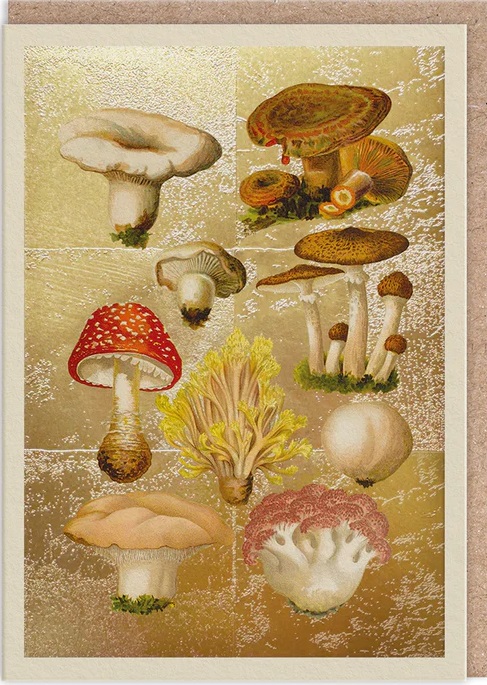 Čestitka FUNGI COLLECTION 
