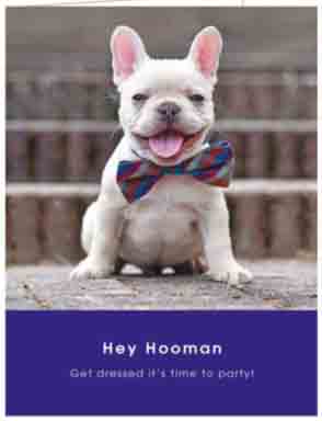 Čestitka FRENCH BULLDOG PARTY 