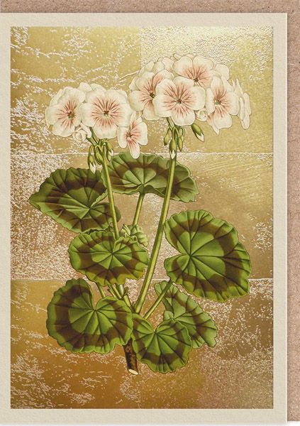 Čestitka GERANIUM 