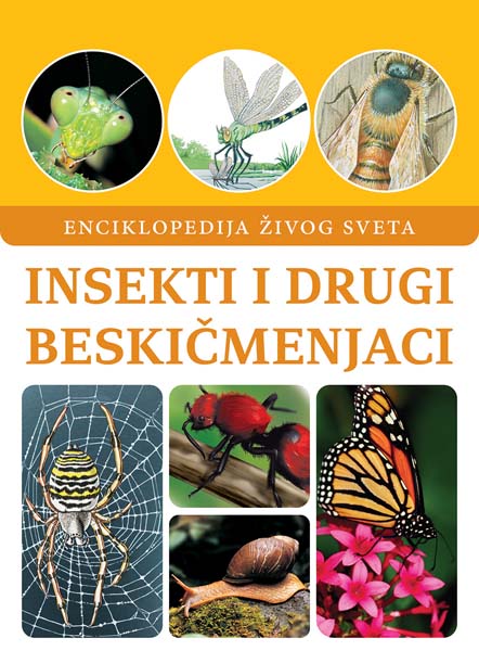 INSEKTI I DRUGI BESKIČMENJACI 