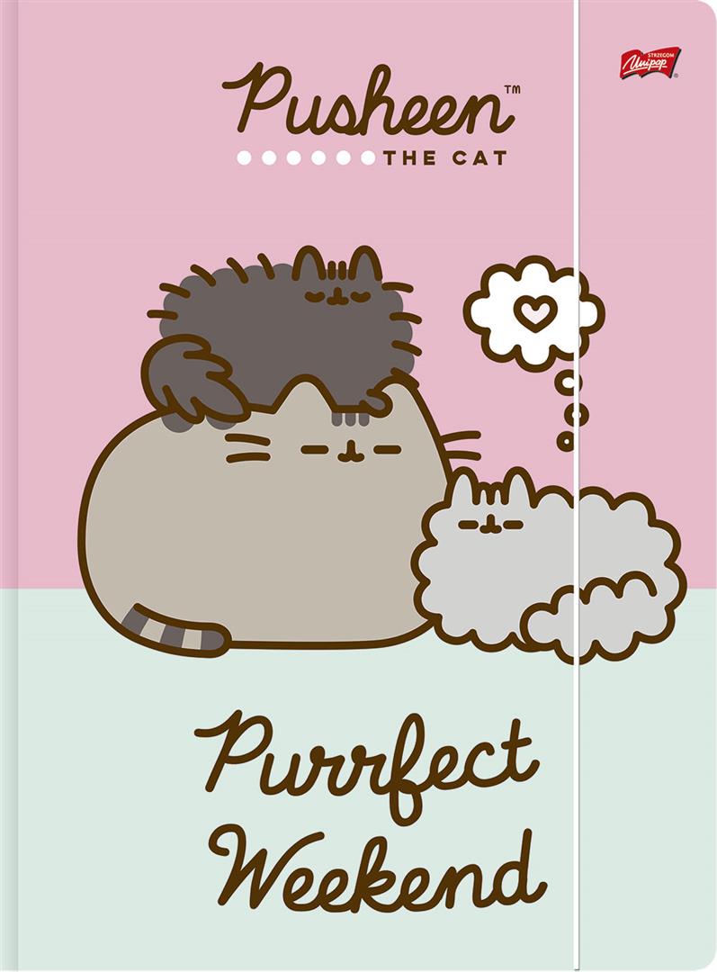 Fascikla A4 PUSHEEN THE CAT (DVE VRSTE) 