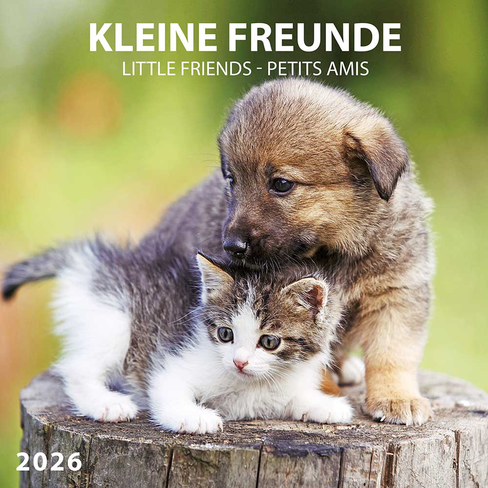 Zidni kalendar 2026 LITTLE FRIENDS 