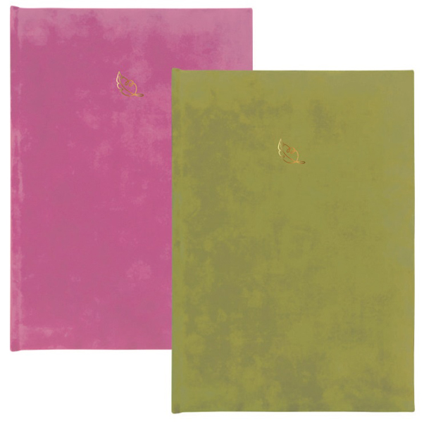 Nedatumirani planer B6 