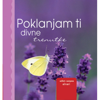 GROH MINI POKLANJAM TI DIVNE TRENUTKE 