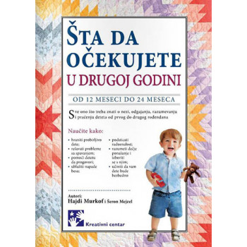 ŠTA DA OČEKUJETE U DRUGOJ GODINI 