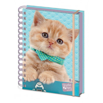 STUDIO PETS PUMPKIN A5 Wiro Notebook 