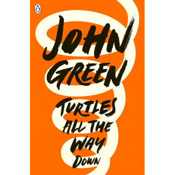 TURTLES ALL THE WAY DOWN 