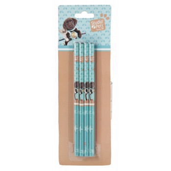 Set Olovaka PENCILS 4PCS PETS 