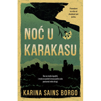 NOĆ U KARAKASU