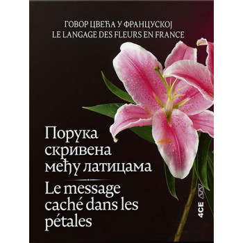 LE MESSAGE CACHÉ  DANS LES PÉTALES; LE LANGAGE DES FLEURS EN FRANCE 