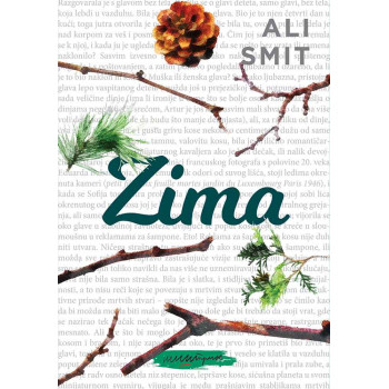 ZIMA 