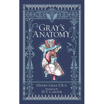 GRAYS ANATOMY 
