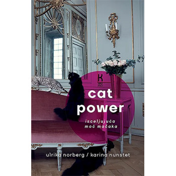 CAT POWER -  ISCELJUJUĆA MOĆ MAČAKA 
