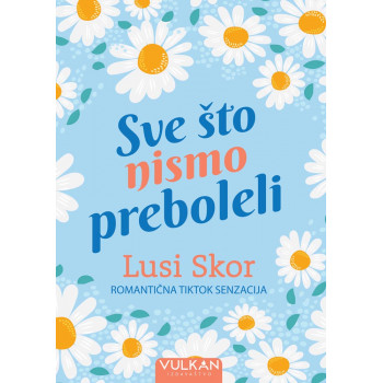 SVE ŠTO NISMO PREBOLELI TikTok Hit 