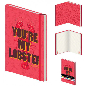 FRIENDS notes A5 YOU RE MY LOBSTER 