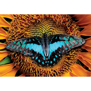 PUZZLE 250kom COLOURFUL NATURE BUTTERFLY 