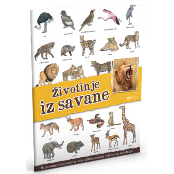 PANORAMA: ŽIVOTINJE IZ SAVANE 