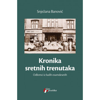 KRONIKA SRETNIH TRENUTAKA ODLOMCI IZ LUDIH OSAMDESETIH 