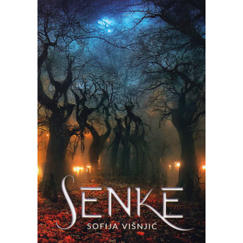 SENKE 