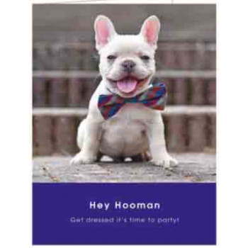 Čestitka FRENCH BULLDOG PARTY 