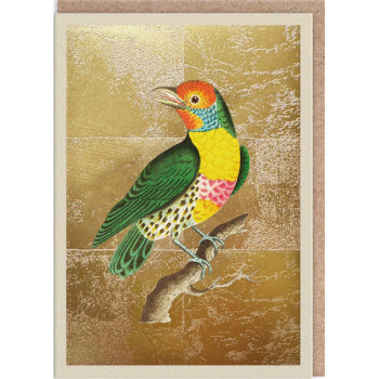 Čestitka LEMON-THROATED BARBET 