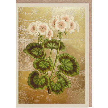 Čestitka GERANIUM 