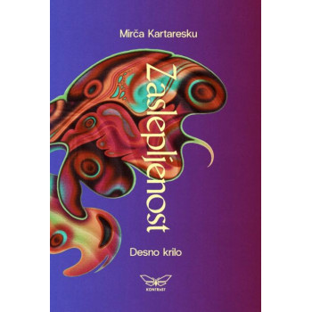 ZASLEPLJENOST 3 Desno krilo 