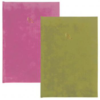 Nedatumirani planer B6 