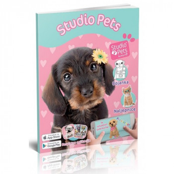 Studio pets - Kuco 