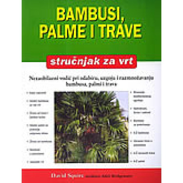 BAMBUSI PALME I TRAVE 