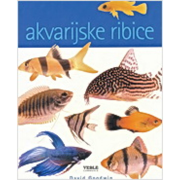 AKVARIJSKE RIBICE 