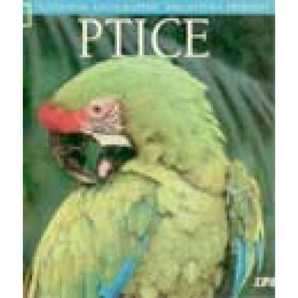 PTICE 