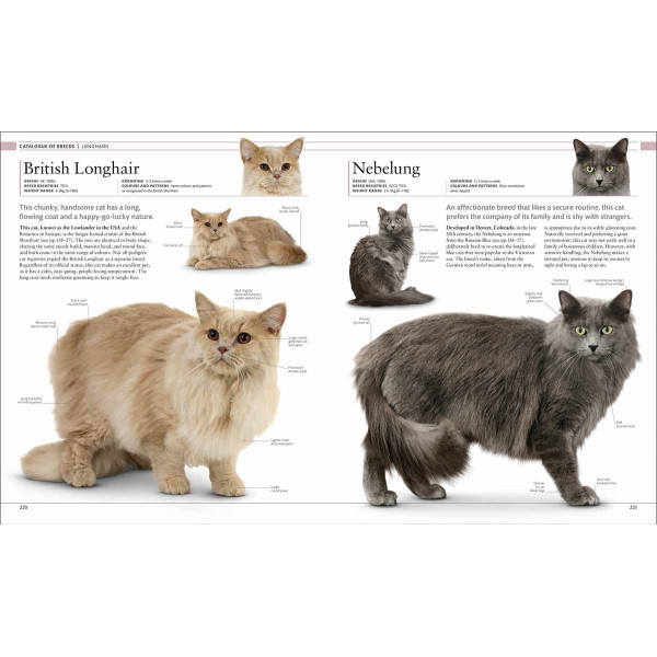 THE CAT ENCYCLOPEDIA 