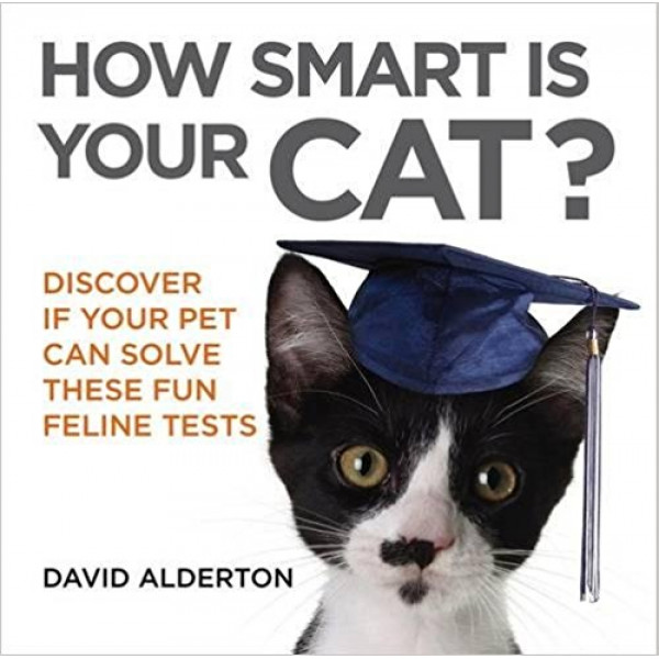 HOW SMART IS YOUR CAT 