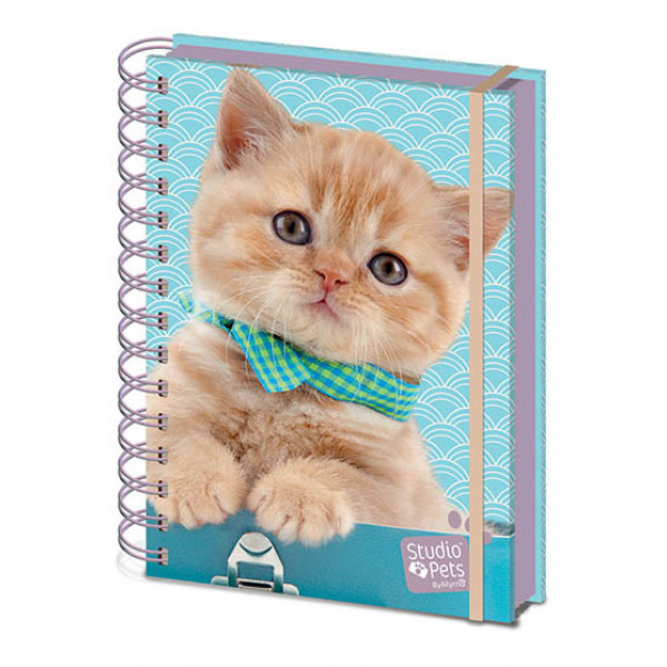 STUDIO PETS PUMPKIN A5 Wiro Notebook 