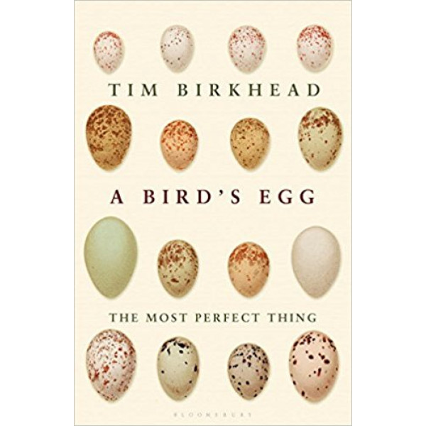 The Most Perfect Thing: Inside and Outside a Bird s Egg 