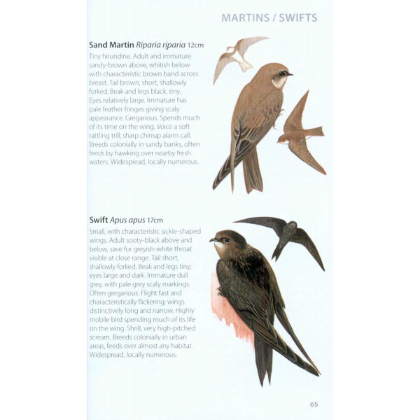 Green Guide to Birds Of Britain And Europe 