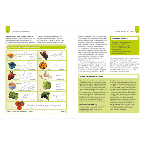 Foods To Fight Cancer 