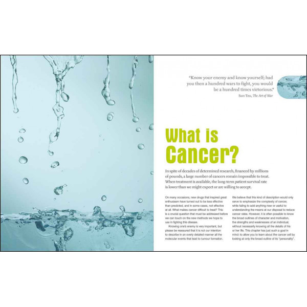 Foods To Fight Cancer 