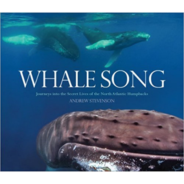 Whale Song 