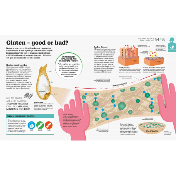 How Food Works 