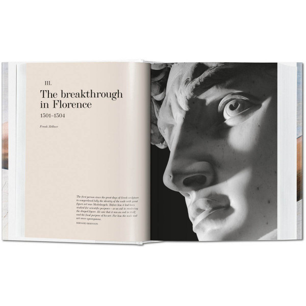 MICHELANGELO The Complete Paintings Sculptures and Architecture 