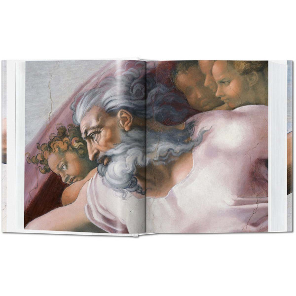MICHELANGELO The Complete Paintings Sculptures and Architecture 