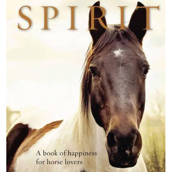 SPIRIT 