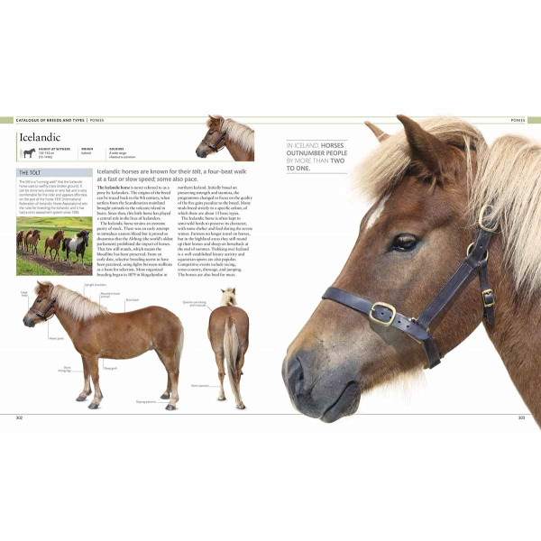 THE HORSE ENCYCLOPEDIA 