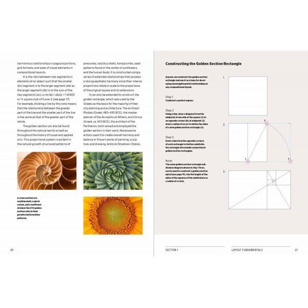 DESIGN SCHOOL:LAYOUT 