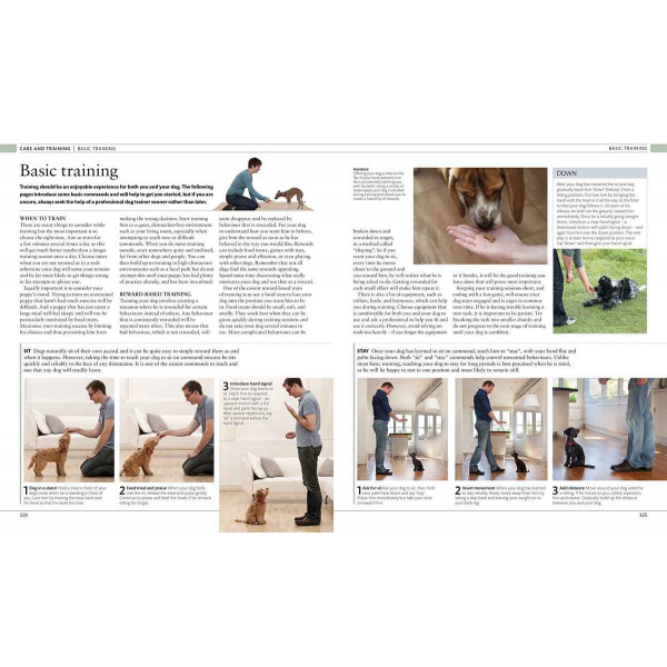 THE DOG ENCYCLOPEDIA 
