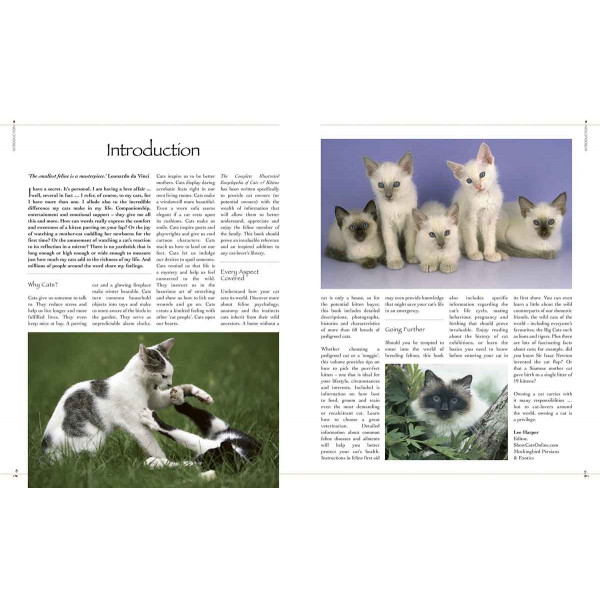 THE COMPLETE ILLUSTRATED ENCY OF CATS AND KITTENS 