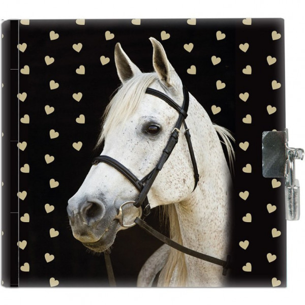 Dnevnik sa ključićem : MY BEAUTIFUL HORSE 