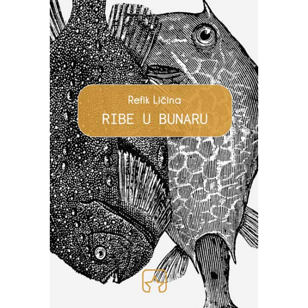 RIBE U BUNARU 